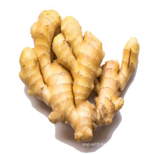 2020 cheap China bulk fresh ginger